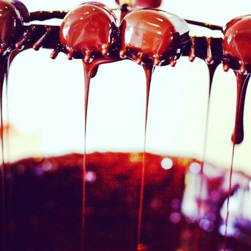 Adore Chocolat