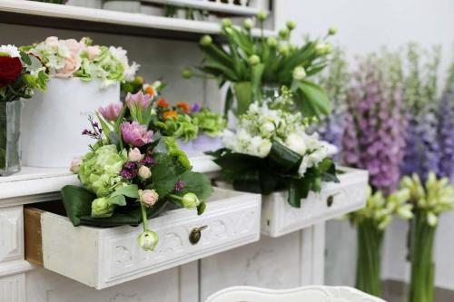 Rayna Decor