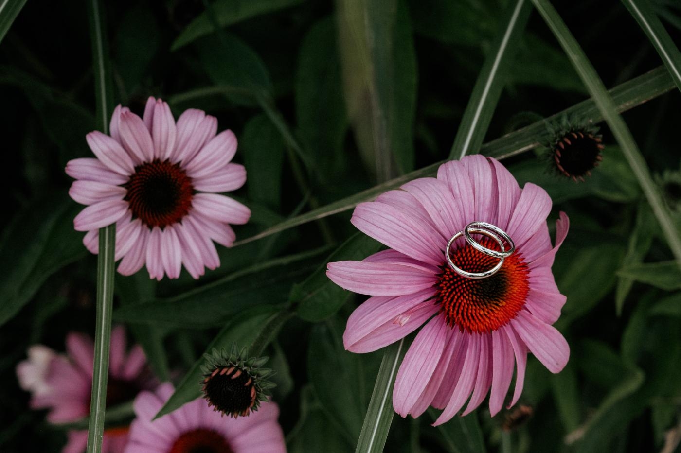 Blissful Garden 