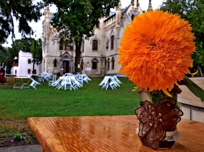 Castelul Sturdza - Miclauseni