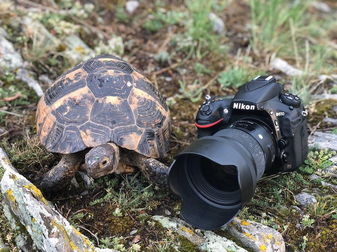 Fotograf Andrei Mantarosie