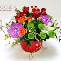 Magique - Un Cadou cu Suflet